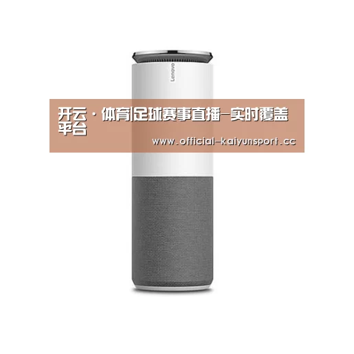 联想智能音箱G1